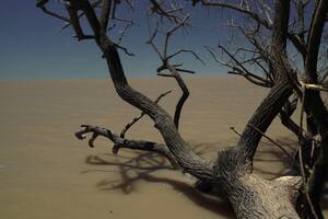 (...) el mismo río, de Alejandro Fernández Mouján, recorre la vera del Río de la Plata, su permanencia y su memoria
