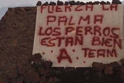 El misterioso cartel sobre el rescate de los perros