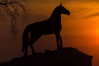 El mítico Potro Bragado. Foto: Municipalidad