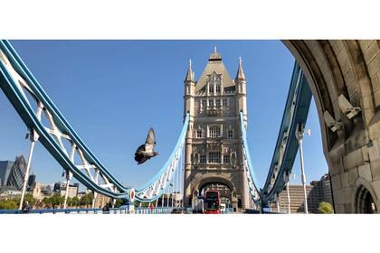 El emblemático Puente de Londres fue construido entre 1886 y 1894.