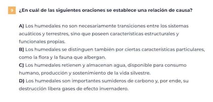 El modelo de prueba evaluó si los estudiantes podían identificar una relación de causa y consecuencia en una serie de enunciados