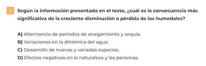El modelo de prueba incluyó una consigna para evaluar la capacidad de extraer información literal de un texto