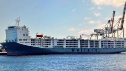 El modelo elegido para la Argentina se inspira más en la experiencia uruguaya que en la brasileña. En Uruguay es el propio productor quien exporta, con el apoyo de una estructura asociativa