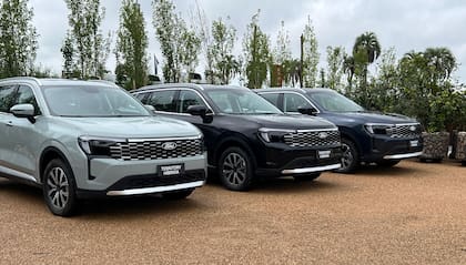 El modelo ingresó bajo el régimen de electrificados