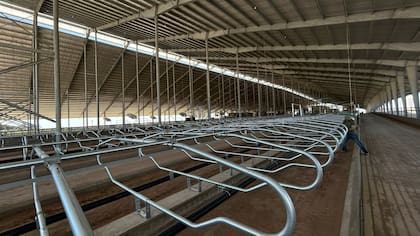 El modelo también incorpora un enfoque ambiental: todo el estiércol se recolecta y se utiliza como fertilizante