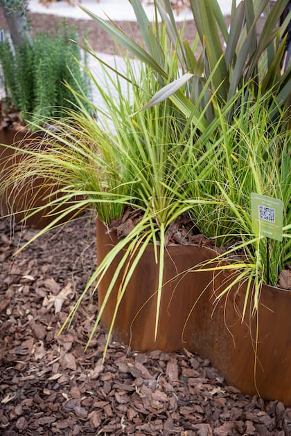 El modelo trébol fue una creación de la marca junto a la paisajista Rafaela Cassarino.