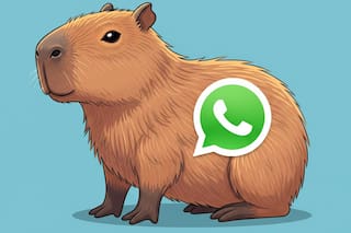 Cómo activar el “modo capibara” en WhatsApp