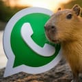 Paso a paso para activar el “modo Capibara” en WhatsApp