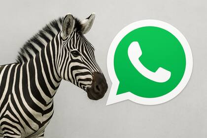 El "modo cebra" en WhatsApp se puede generar con inteligencia artificial