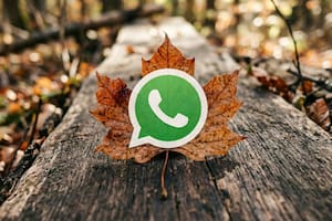 Así se puede activar el “modo hoja seca” en WhatsApp