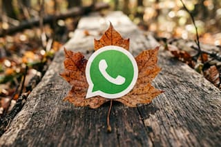 Así se puede activar el “modo hoja seca” en WhatsApp