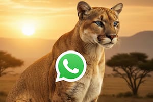 Cómo activar el “modo puma” de WhatsApp