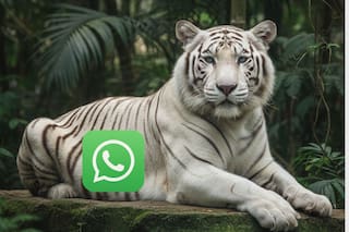 Cómo activar el “modo tigre blanco” de WhatsApp