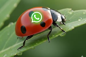 Paso a paso: así se activa el “modo vaquita de San Antonio”