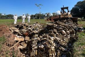 El momento de destrucción de los huevos