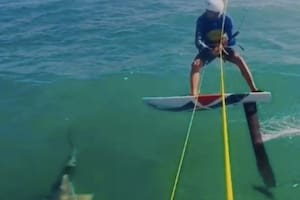 Video: el espectacular tropezón de un surfista con un tiburón