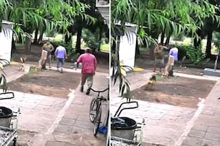 Un empleado de un cementerio le cortó la oreja a otro con un machete