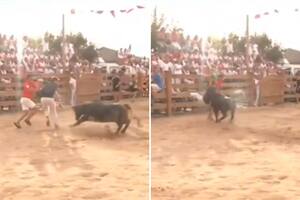 Metieron a un periodista en una corrida para hacerle una broma y terminó embestido