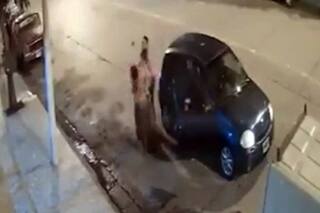 Un hombre golpeó a una mujer, que tenía a un bebé en brazos y se golpeó la cabeza contra el suelo