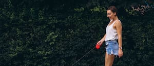 Por qué tu perro se detiene en seco al pasear, según un adiestrador canino