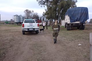 Le robaron 60 vacas, enfrenta una pérdida millonaria y pide que lo ayuden