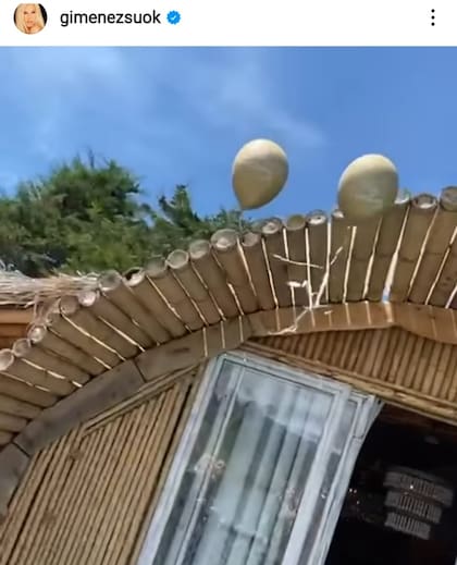 El momento en el que Susana Giménez soltó dos globos en las playas de Colombia