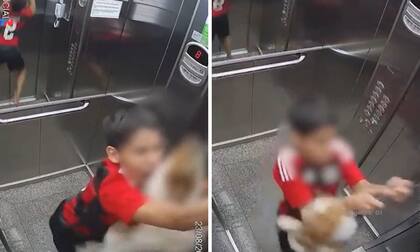 El momento en que el menor desata a la perra