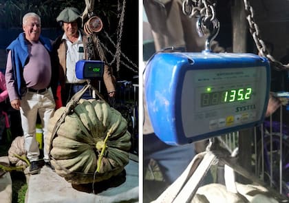 El momento en que el zapallo fue presentado y pesado durante el aniversario de Alejandro Roca