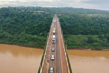 El momento en que las elefantas cruzaron Puerto Iguazú rumbo a su nueva vida en Brasil
