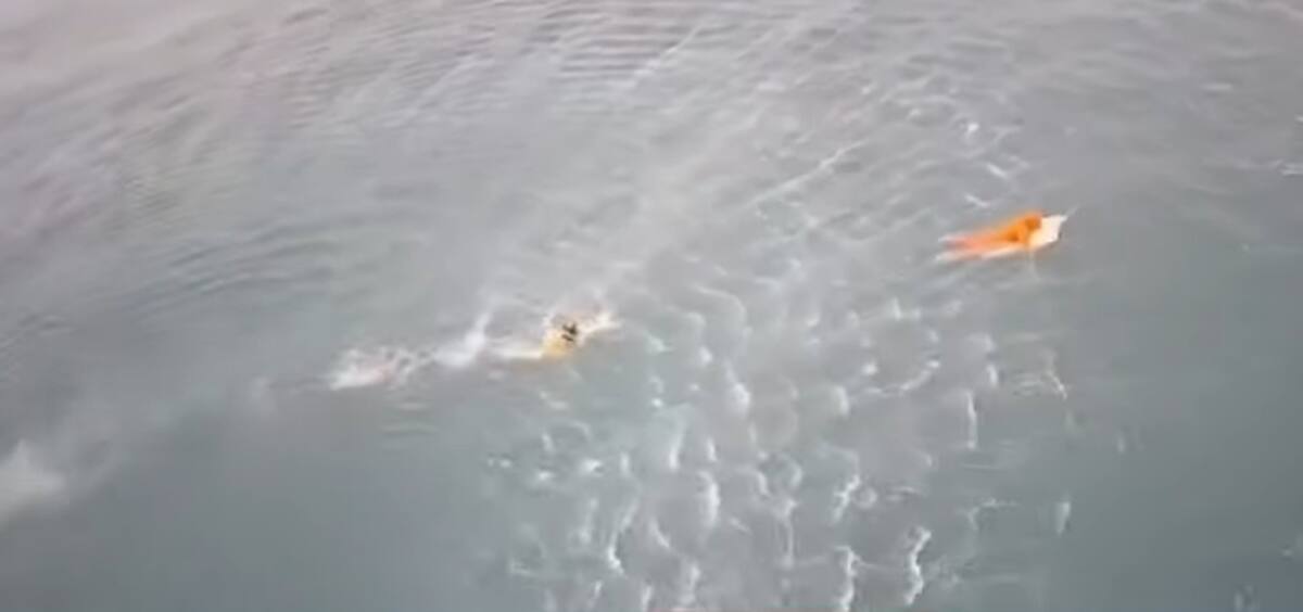 Ele foi pescar, o barco afundou, seu pai morreu e ele sobreviveu 17 horas agarrado à porta da geladeira. Ele foi pescar, o barco afundou, seu pai morreu e ele sobreviveu 17 horas agarrado à porta da geladeira.