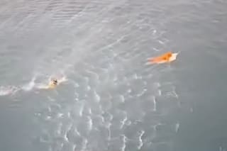 Salió a pescar, se hundió su barco, murió su padre y él sobrevivió 17 horas aferrado a la puerta de una heladera