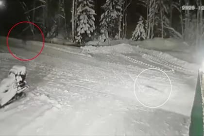 El momento exacto en que el perro corre al lobo