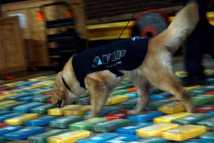 El momento previo a la quema de la cocaína
