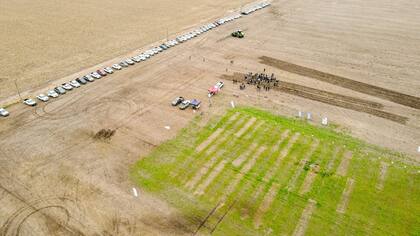 El monitoreo debe tener un sentido para detectar la presencia y abundancia de malezas