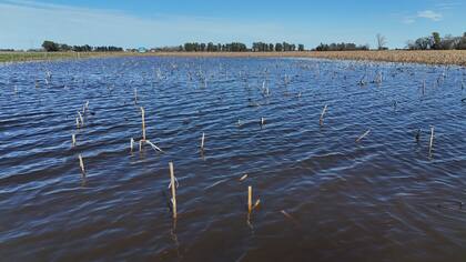 El monto de asistencia pasaría de $500 millones a un mínimo de 130.000 millones de pesos