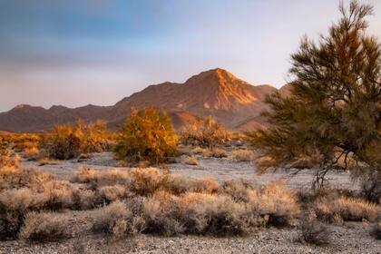 El monumento nacional de Chuckwalla en California abarca 624 mil acres
