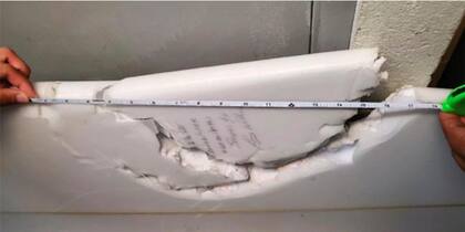 El mordisco del tiburón fue de 43 centímetros. Crédito: Departamento de Tierra y Recursos Naturales estatal