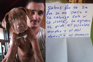 La Plata: robó una perra, se arrepintió y la devolvió con una nota