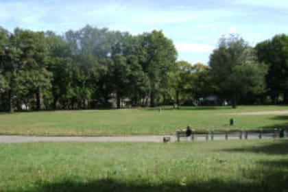 El Mount Prospect Park de Brooklyn se someterá a una obra para crear una pista de patinaje