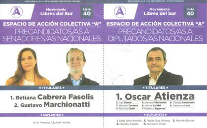 El Movimiento Libres del Sur compite con lista única en las PASO cordobesas.