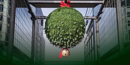 El muérdago colgante será el escenario del intento por batir el récord mundial de la cantidad de besos en simultáneo