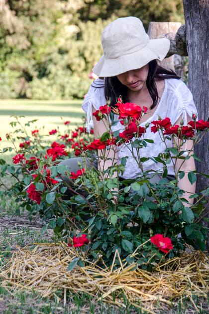 El mulch es la mejor opción para evitar el crecimiento de malezas y la evaporación del agua de riego.