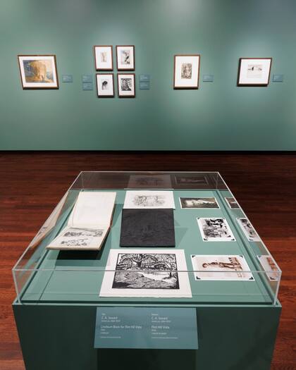 El museo de arte de Denver cuenta con 12 colecciones Foto: Instagram denverartmuseum