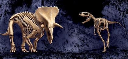 El Museo de Ciencias Naturales de North Carolina ya promociona la exhibición de los "Dinosaurios en Duelo", que estará lista recién para 2022 (NCMNS)