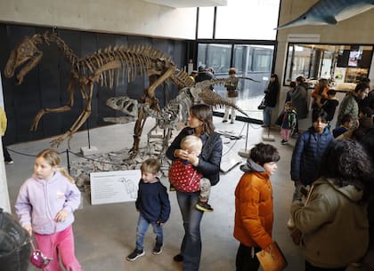 El Museo de Ciencias Naturales, uno de los atractivos para los chicos