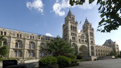 El Museo de Historia Natural, en Londres, conserva una de las únicas dos muestras de kernowita en el mundo.