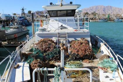 El Museo de la Ballena es una de las ONG que retira las redes de enmalle del área protegida