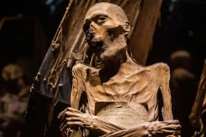 El asombroso origen de las momias que sobrevivieron gracias a unas condiciones muy particulares