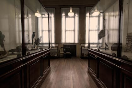 El museo del Instituto.