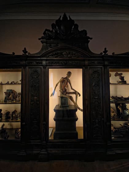 El Museo delle Scienze e delle Arti pertenece a una de las universidades más antiguas del mundo, la Luigi Vanvitelli, que acaba de cumplir 800 años